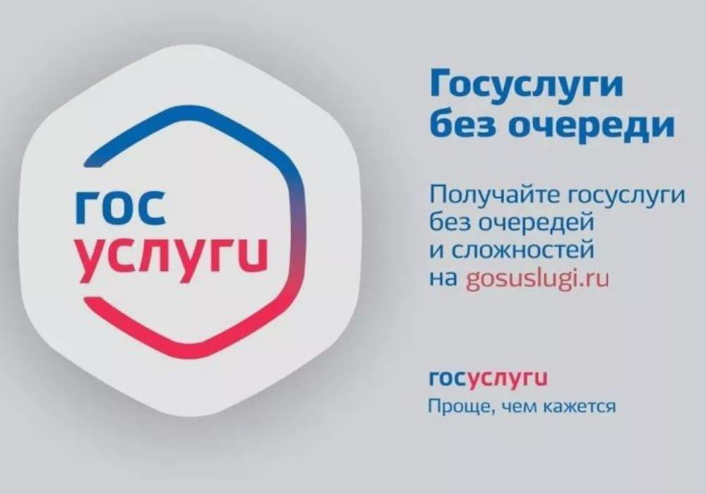 Доступность на портале госуслуг 