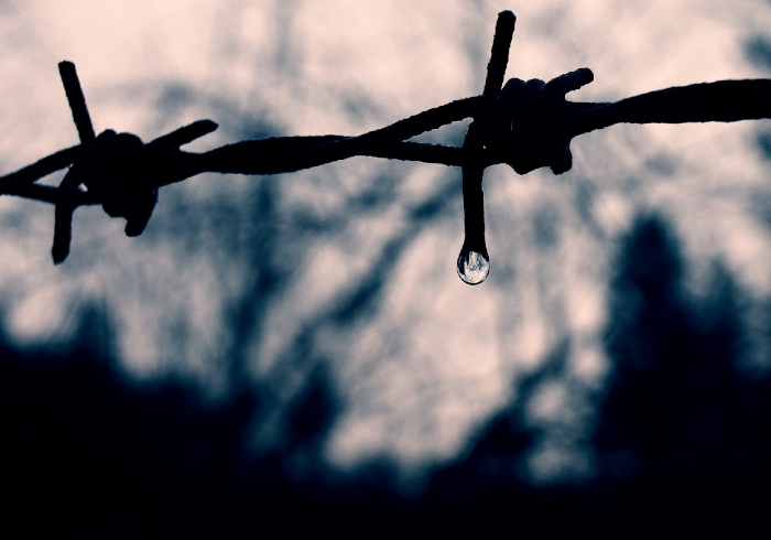 ТОП-10 дел по неуплате налогов