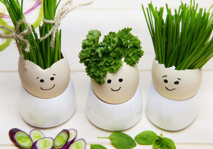 Вот такая петрушка получается!