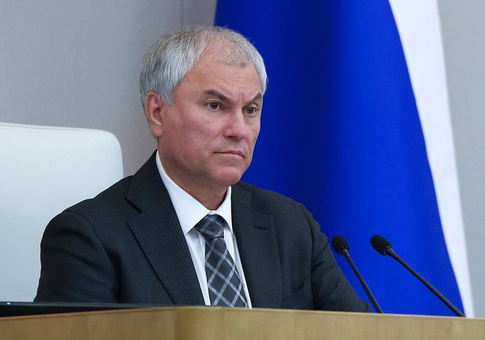 Вячеслав Володин: «дропперство» постепенно исчезает как вид преступления
