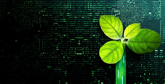 «Эконс»: Криптоэкосистемы, их риски и правила регулирования ...