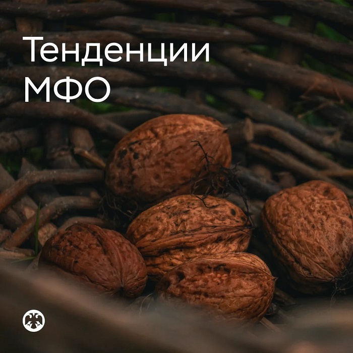 2026-10-09_I_пол-2026_МФО_увеличили_выдачу_займов_бизнесу_на_18_02.jpg
