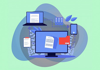 Как отображается структура ИНН для организаций?